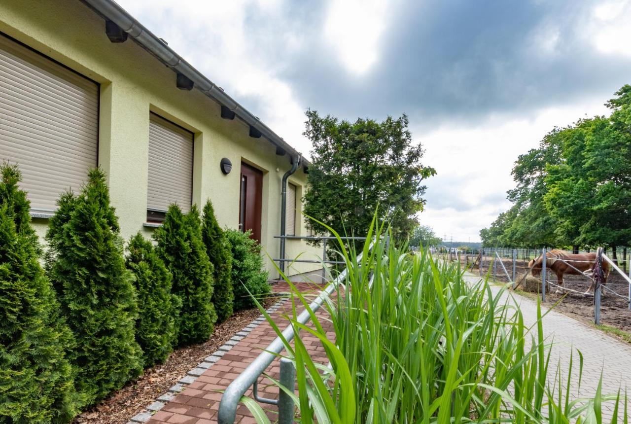 Pension Zum Reiterhof Schmogrow Exterior photo